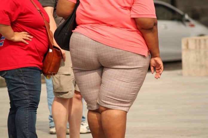Moglie obesa