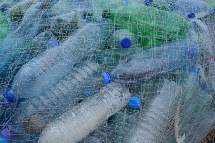 Capodoglio morto con 22 kg di plastica