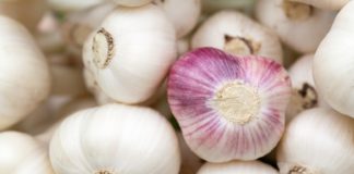 Aglio ginecologa donne