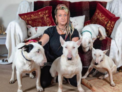Tra i cani e il marito sceglie i primi