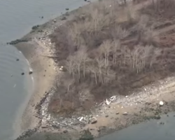 Hart Island New York ossa morti