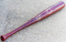 Scambia la mamam per un intruso e la uccidea colpi di mazza da baseball