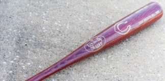 Scambia la mamam per un intruso e la uccidea colpi di mazza da baseball
