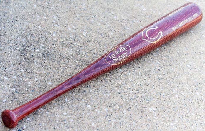 Scambia la mamam per un intruso e la uccidea colpi di mazza da baseball
