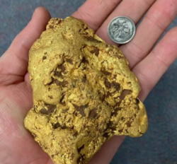 Pepita d'oro