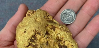 Pepita d'oro