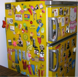 Calamite frigo