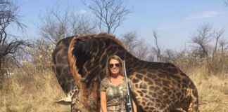 Donna uccide giraffa