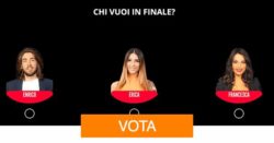 Grande Fratello finale