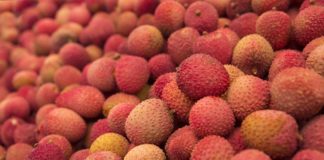 Litchi