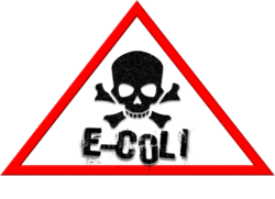 Sicurezza alimentare