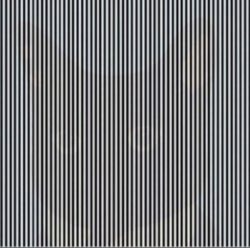 Immagine animale nascosto