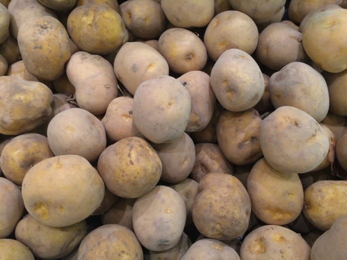 Patate