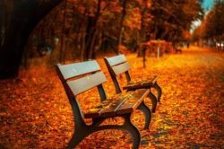 Autunno