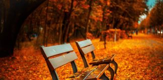 Autunno