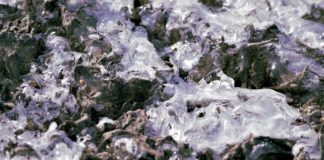Permafrost