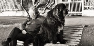Cane linguaggio dell'uomo