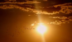 Sole perdere peso