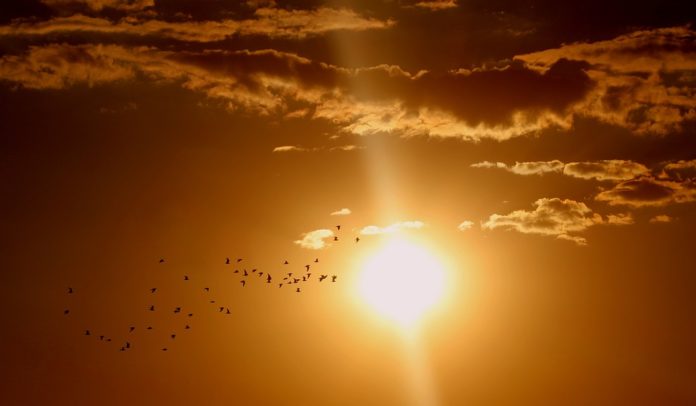 Sole perdere peso