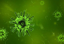 Virus Cina