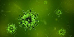 Virus Cina