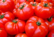 Pomodori salute