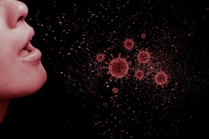 Coronavirus spesa