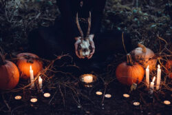 Halloween festa cosa sapere