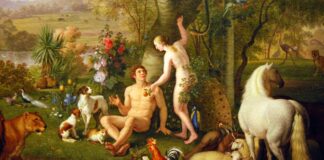 Storia del mondo Bibbia Adamo Eva