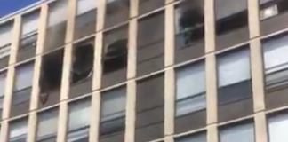 gatto si salva da un incendio