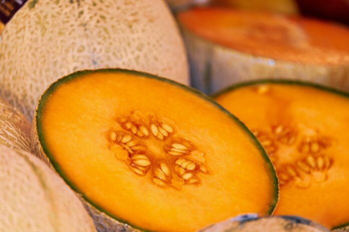 melone giapponese