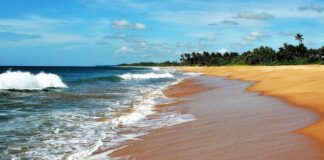 Sri Lanka disastro ambientale