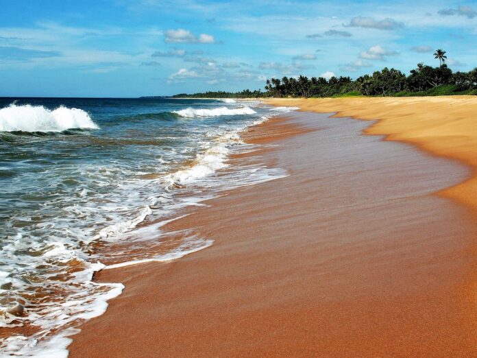 Sri Lanka disastro ambientale