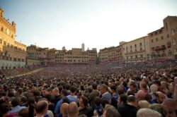 Palio Siena diretta tv streaming