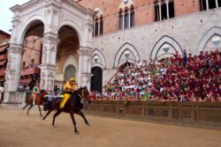 Palio Siena diretta tv streaming